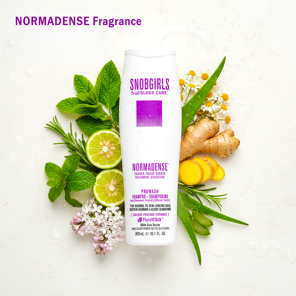 NORMADENSE 1 Shampooing 300 mL
