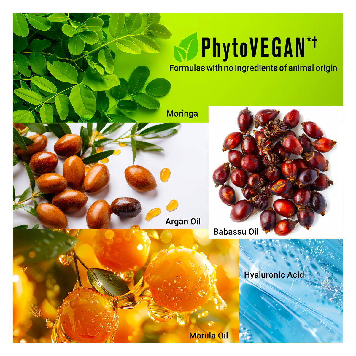 HYDRAMEND Hydrating Vegan Hair Oil