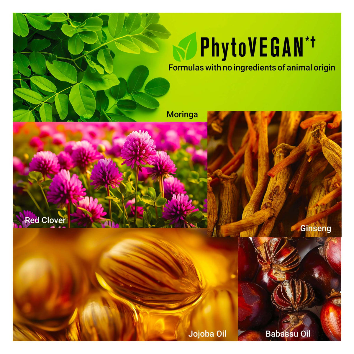 Huile NORMADENSE — Épaisseur + Densité