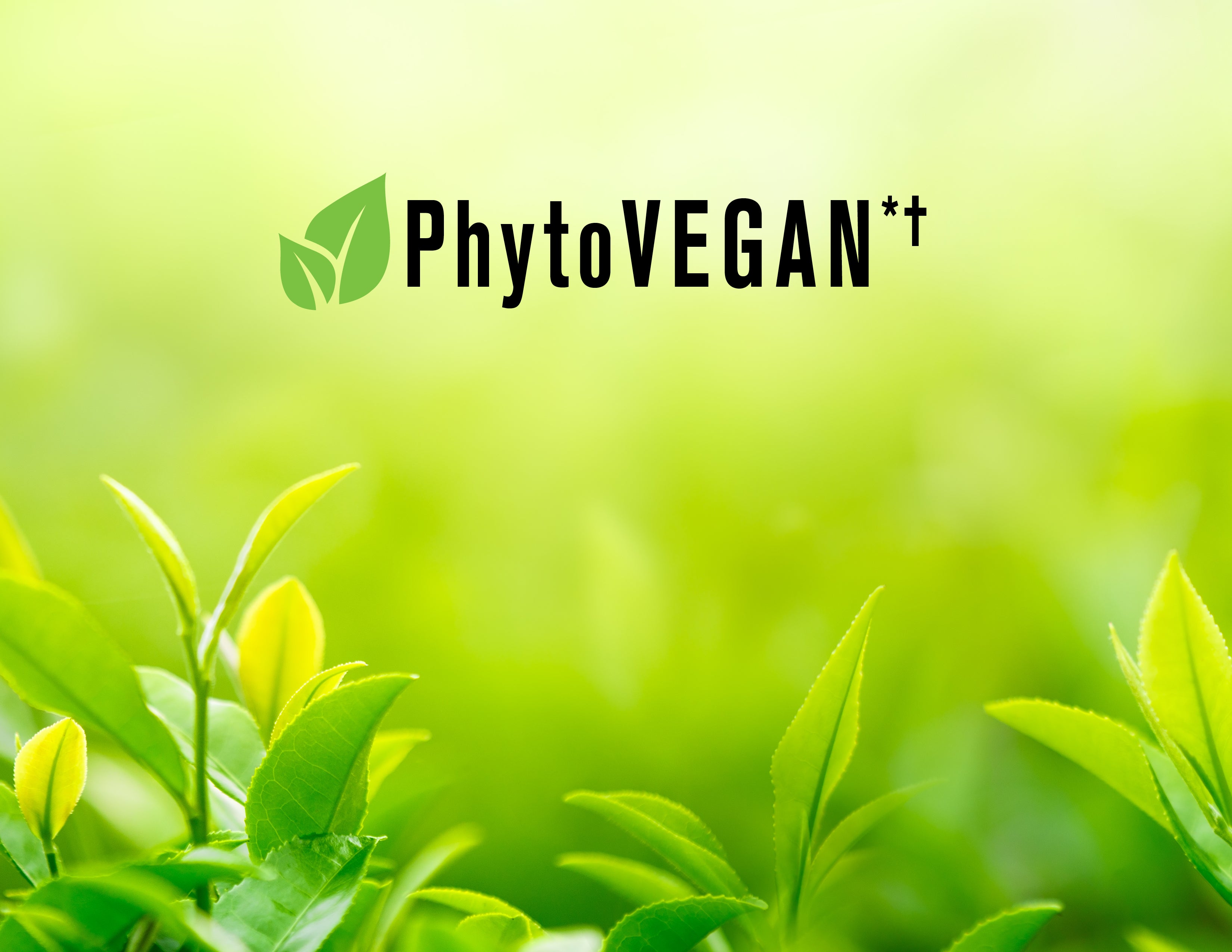 HYDRAMEND Vegan Hydrating Conditioner + Pump