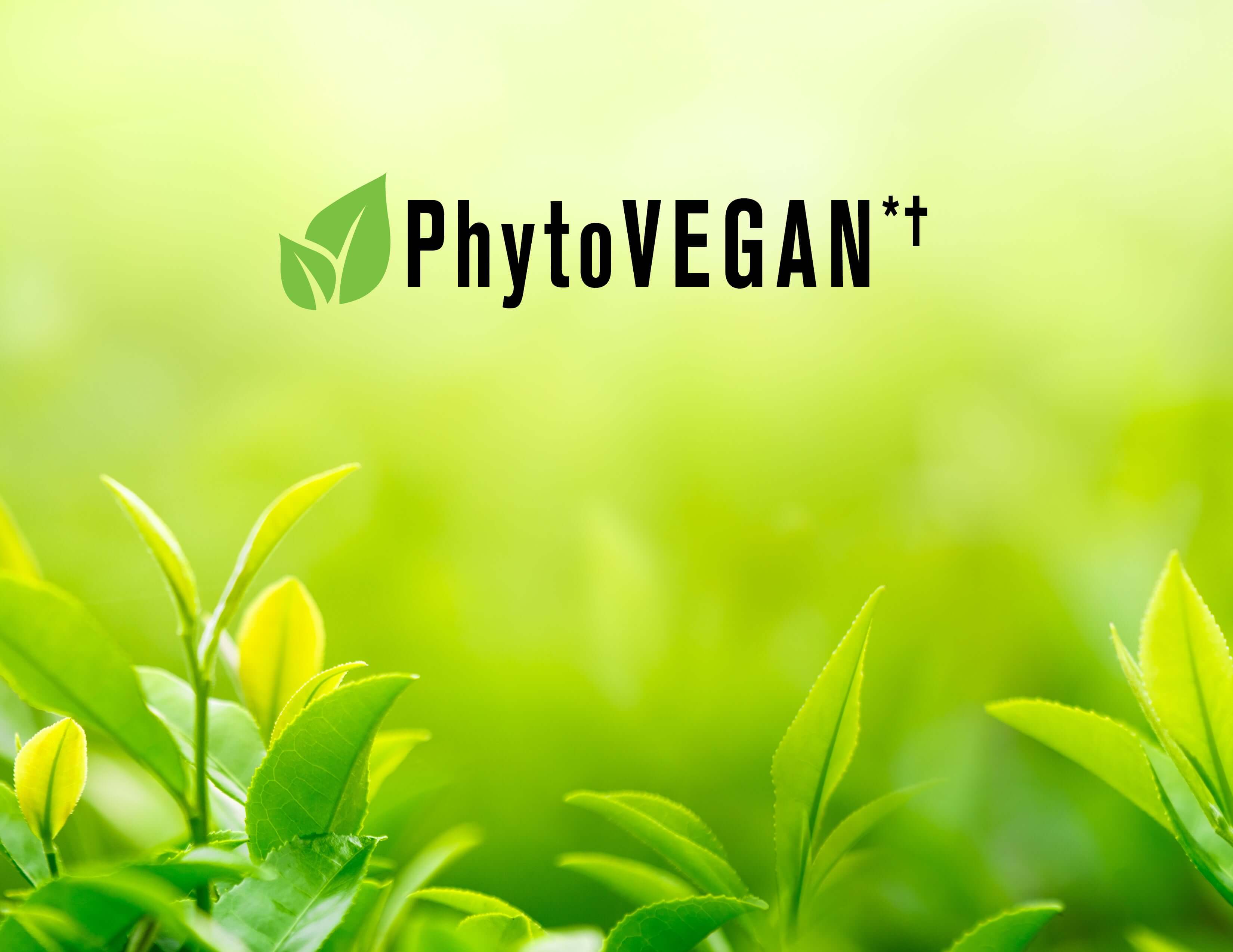 PROCURE Vegan Conditioner 300 mL